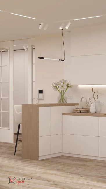 Сучасний мінімалізм в кухні-студії, 42 м.кв